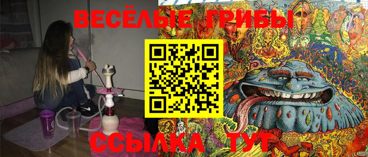 Скопин  где можно купить   Вход с VPN  Галлюциногенные грибы ЛСД  Галлюциногенные грибы Psilocybe 