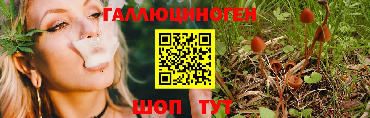 Скопин  ГАШИШ  Вход с VPN  Кокаин  МЕФ   МАРИХУАНА 